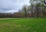Shaffer Property